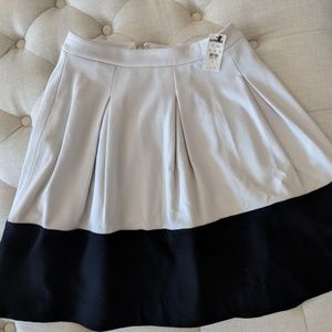 Express skirt
